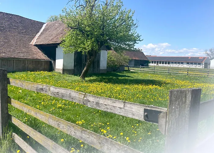 شقة Granny's Cosy